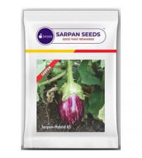 Brinjal Sarpan 65